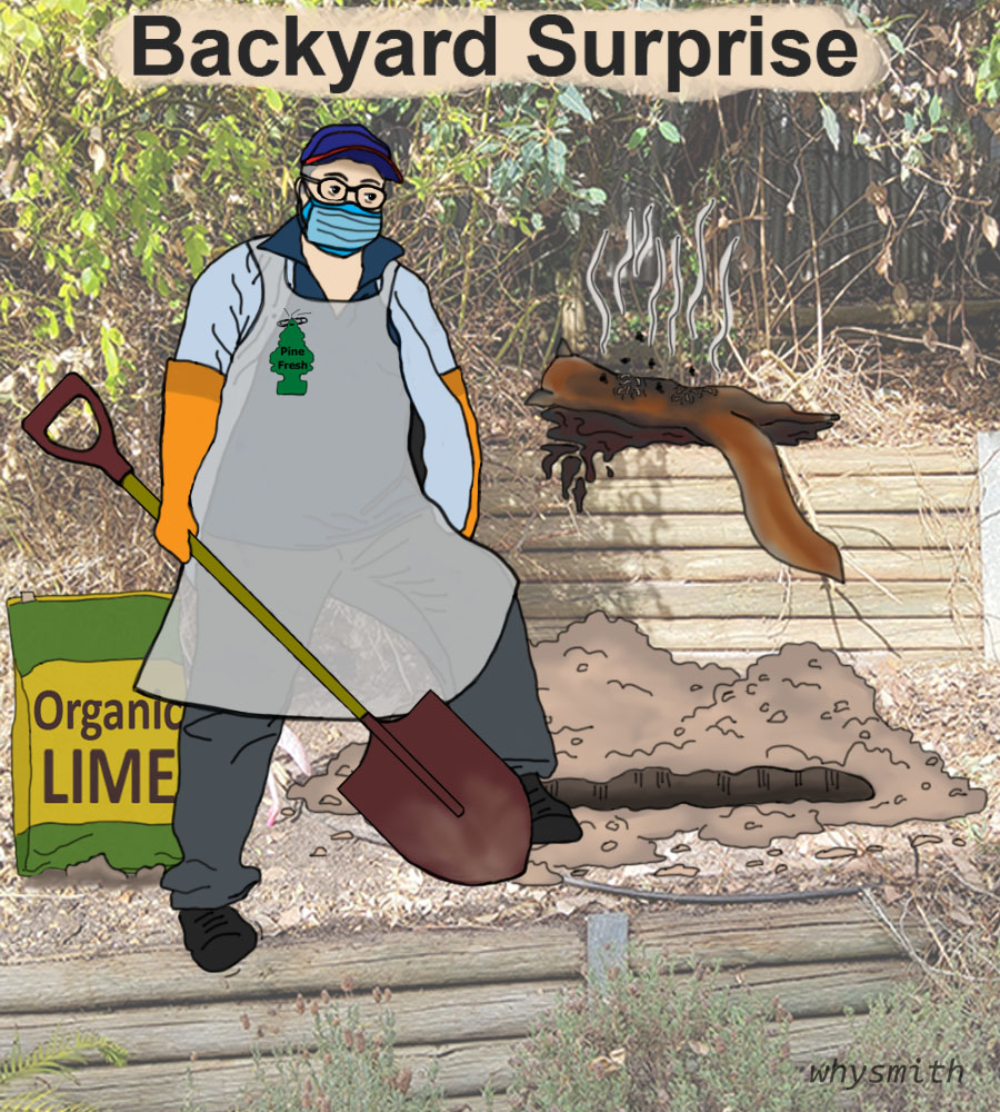 Dead Fox